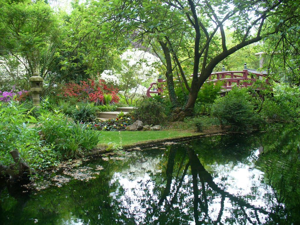 Ferienwohnung Rheinaue Keulen Buitenkant foto